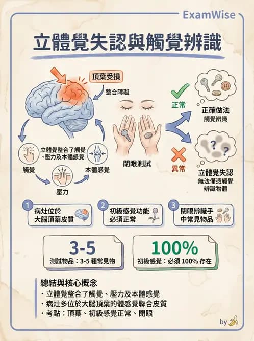 物治 - 腦中風感覺知覺與認知 - AI 圖文解析預覽