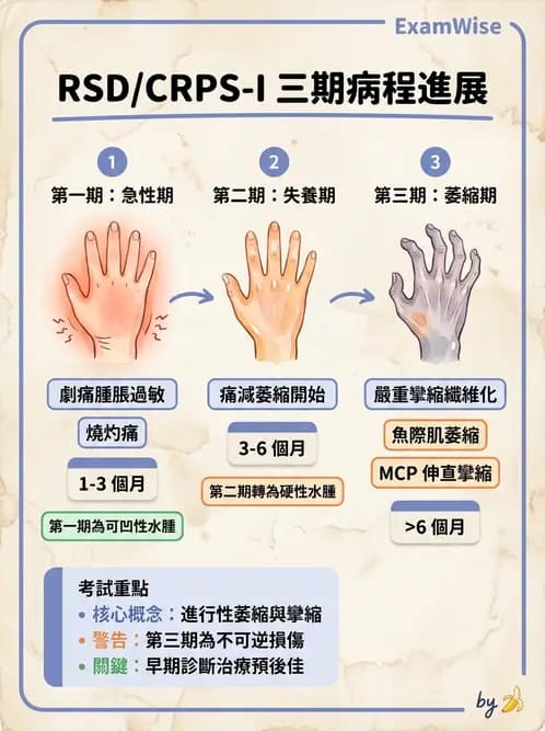 物治 - 腦中風上肢肩部與體適能 - AI 圖文解析預覽