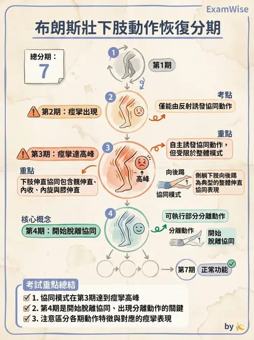 物治 - 腦中風動作評估與分期 - AI 圖文解析預覽