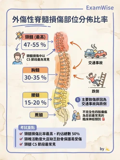 物治 - SCI評估分類與症候群 - AI 圖文解析預覽