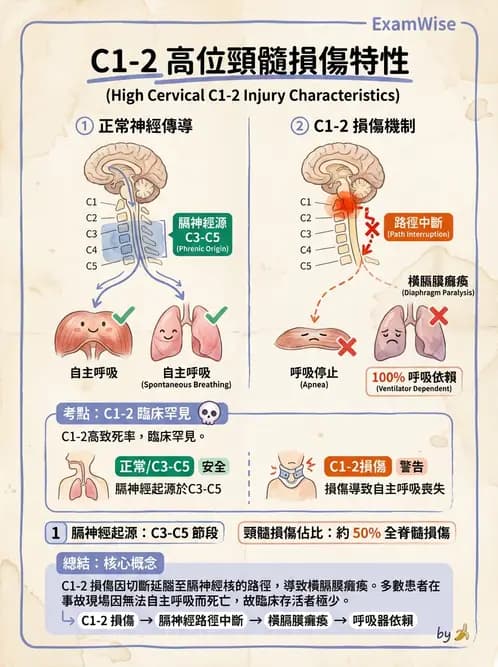 物治 - SCI評估分類與症候群 - AI 圖文解析預覽