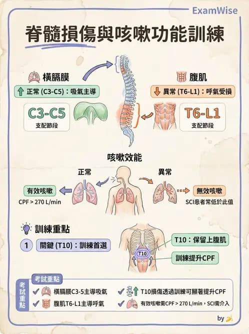 物治 - SCI併發症與呼吸管理 - AI 圖文解析預覽