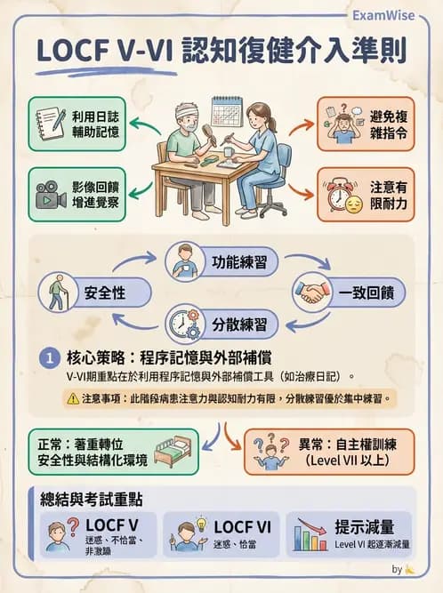 物治 - TBI LOCF分級與復健 - AI 圖文解析預覽
