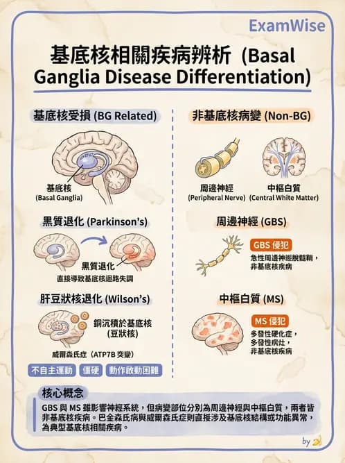 物治 - 巴金森氏病物理治療 - AI 圖文解析預覽