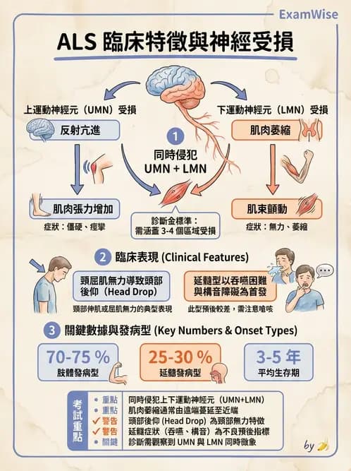 物治 - 運動神經元疾病與其他中樞疾病 - AI 圖文解析預覽