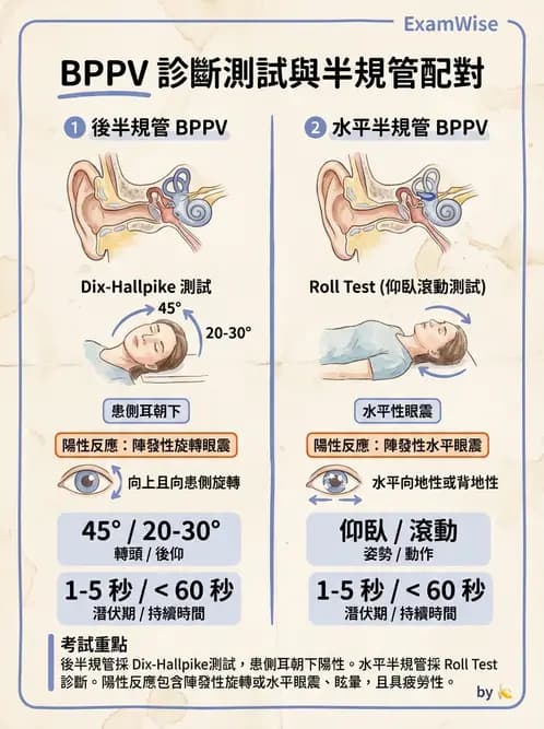 物治 - 前庭系統與前庭復健 - AI 圖文解析預覽