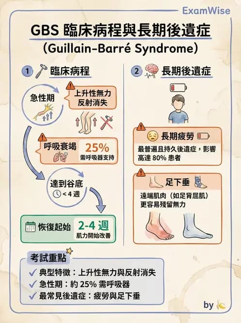 物治 - 神經肌肉疾病 - AI 圖文解析預覽