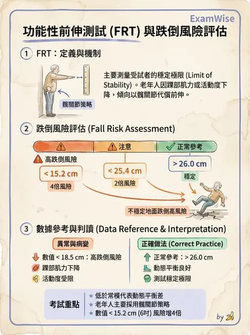 物治 - 跌倒預防與平衡訓練 - AI 圖文解析預覽