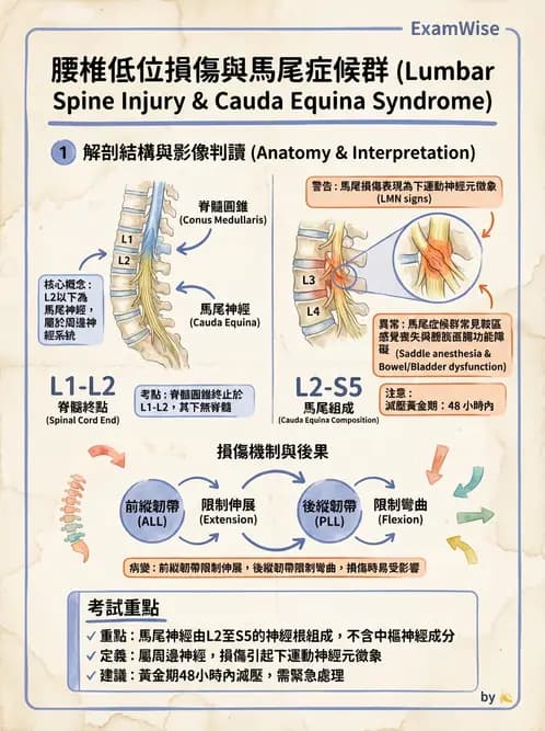 物治 - SCI評估分類與症候群 - AI 圖文解析預覽