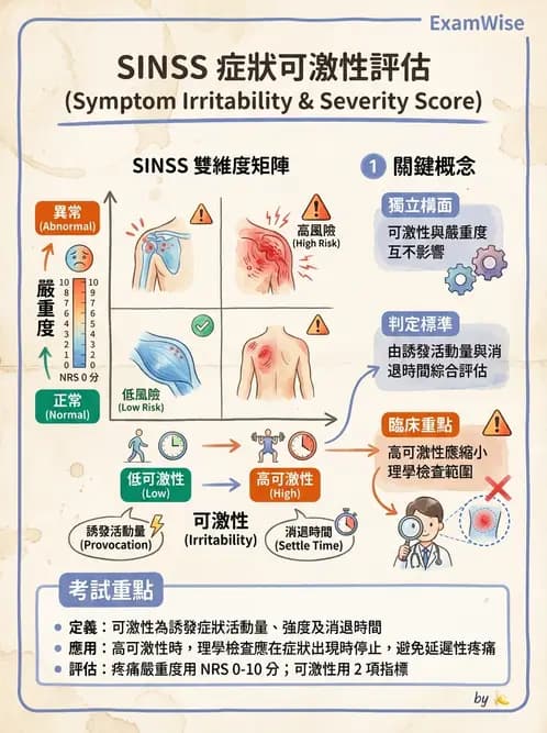 物治 - 頸椎評估與病理 - AI 圖文解析預覽