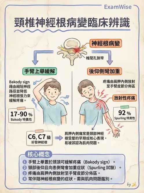 物治 - 頸椎評估與病理 - AI 圖文解析預覽