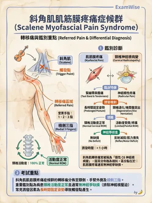 物治 - 頸椎評估與病理 - AI 圖文解析預覽