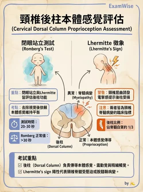 物治 - 頸椎評估與病理 - AI 圖文解析預覽