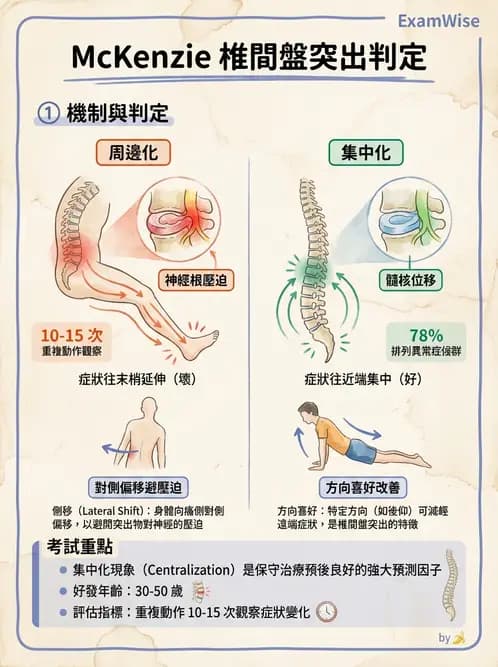 物治 - 腰椎椎間盤與脊椎狹窄 - AI 圖文解析預覽
