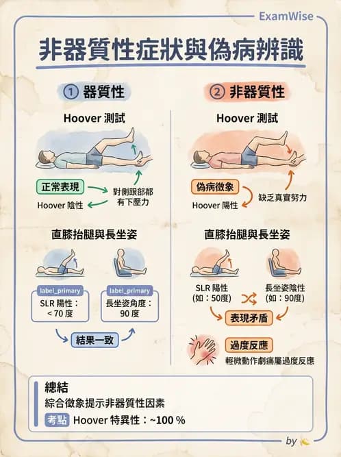物治 - 初級照護與鑑別診斷 - AI 圖文解析預覽