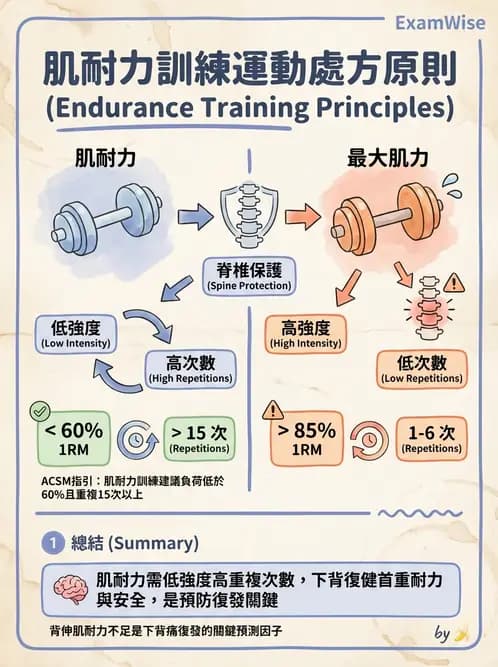 物治 - 腰椎穩定訓練與治療原則 - AI 圖文解析預覽