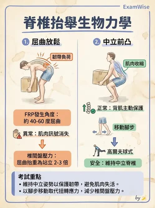 物治 - 腰椎穩定訓練與治療原則 - AI 圖文解析預覽