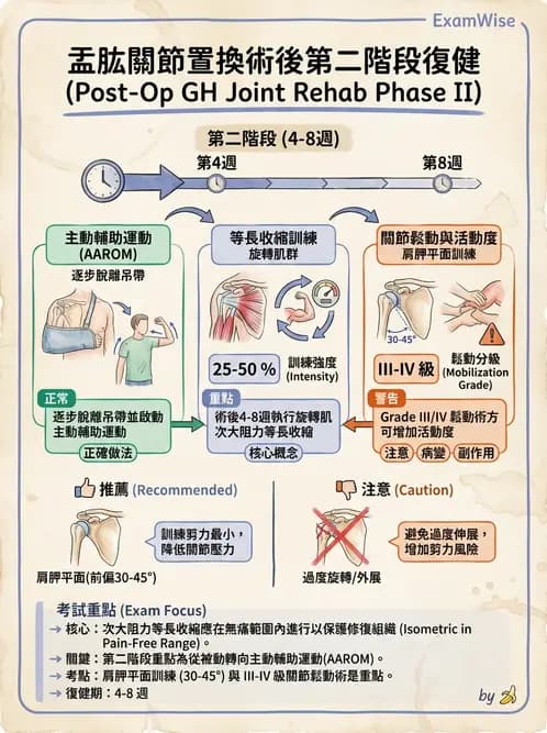 物治 - 肩胛生物力學與神經損傷 - AI 圖文解析預覽