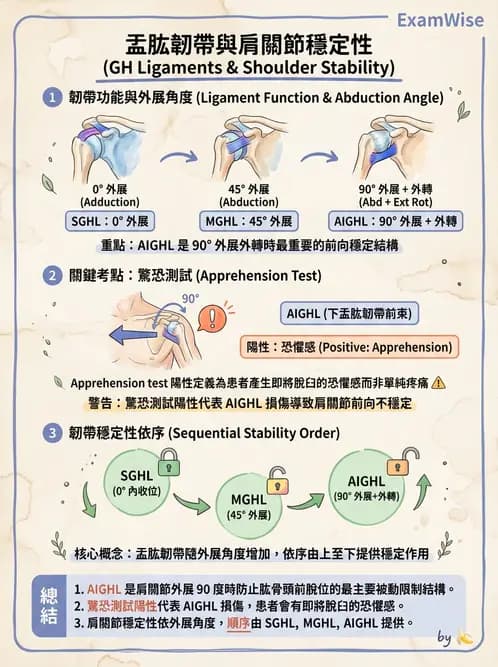 物治 - 肩關節不穩定與盂唇損傷 - AI 圖文解析預覽