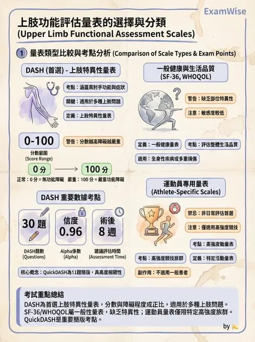 物治 - 肩胛生物力學與神經損傷 - AI 圖文解析預覽