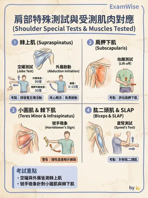 物治 - 肩關節夾擠與旋轉肌袖 - AI 圖文解析預覽