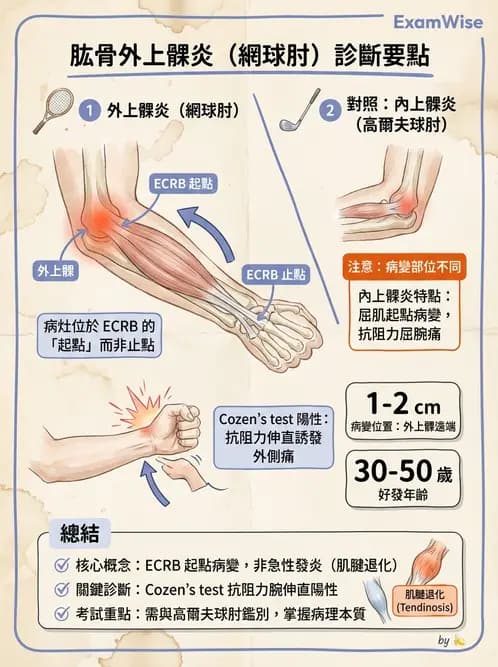 物治 - 肘及前臂關節 - AI 圖文解析預覽