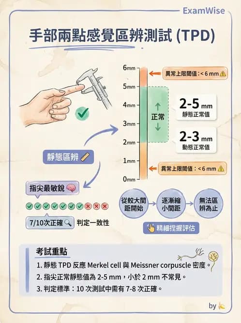 物治 - 手部肌腱損傷與變形 - AI 圖文解析預覽