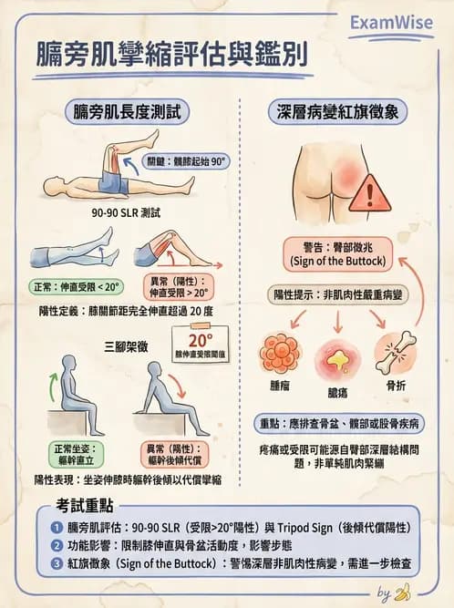 物治 - 髖關節解剖與評估 - AI 圖文解析預覽