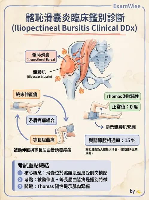 物治 - 髖關節病變與手術復健 - AI 圖文解析預覽
