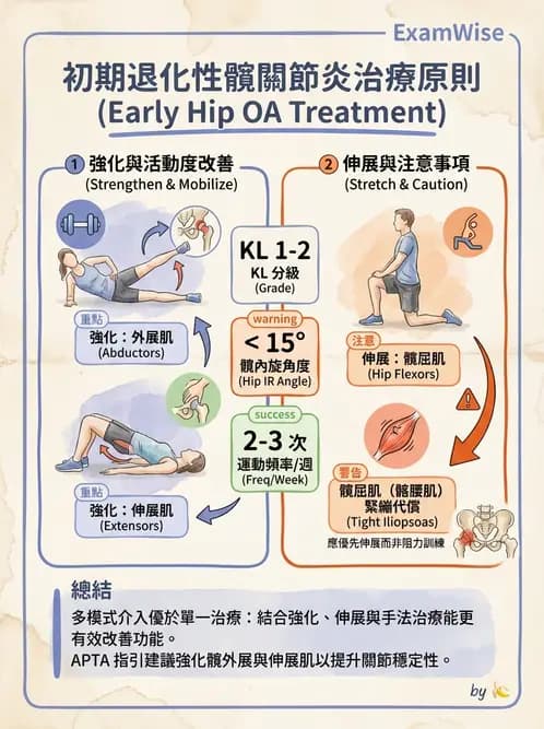 物治 - 髖關節病變與手術復健 - AI 圖文解析預覽