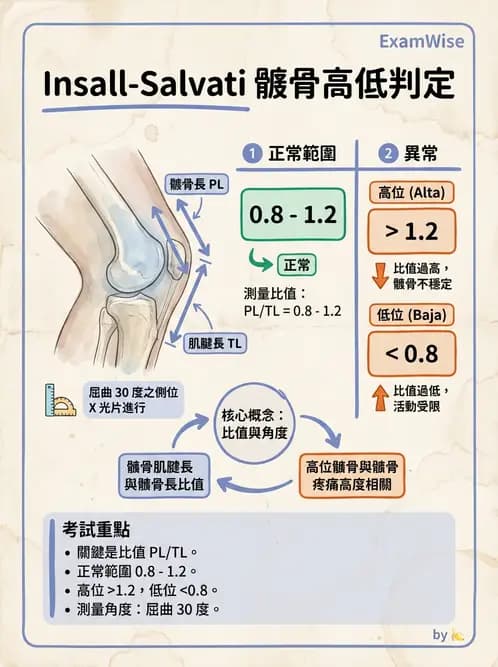 物治 - 髕股關節疼痛與伸展機制 - AI 圖文解析預覽