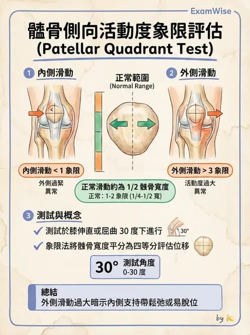 物治 - 髕股關節疼痛與伸展機制 - AI 圖文解析預覽