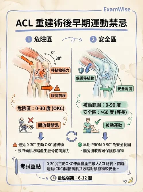 物治 - 膝關節韌帶與半月板損傷 - AI 圖文解析預覽