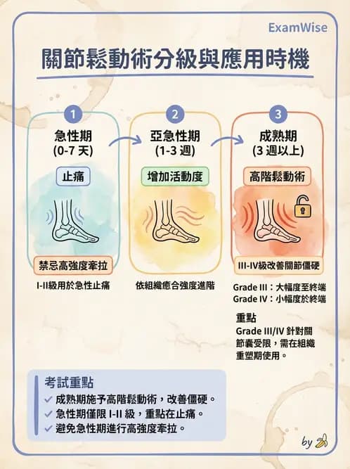 物治 - 踝關節損傷與復健 - AI 圖文解析預覽