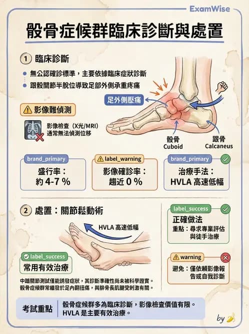 物治 - 足部病變與輔具評估 - AI 圖文解析預覽
