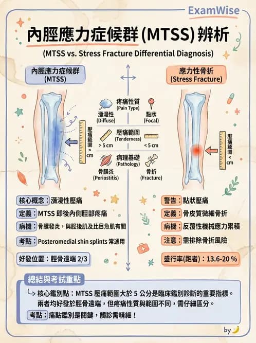 物治 - 踝關節損傷與復健 - AI 圖文解析預覽