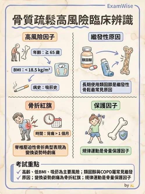 物治 - 女性健康 - AI 圖文解析預覽