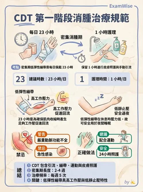 物治 - 皮膚與淋巴系統物理治療 - AI 圖文解析預覽