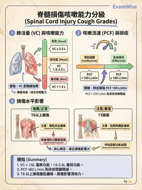 物治 - 呼吸臨床評估技術 - AI 圖文解析預覽