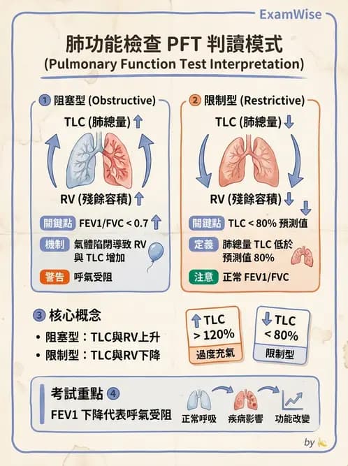 物治 - 肺功能測試與血氣體分析 - AI 圖文解析預覽