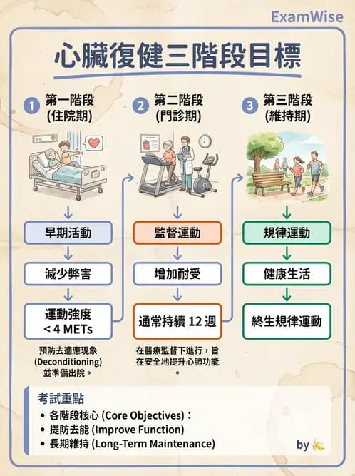 物治 - 心臟復健與運動處方 - AI 圖文解析預覽