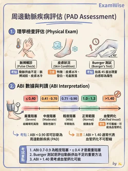 物治 - 心臟藥物、輔助裝置與周邊血管 - AI 圖文解析預覽