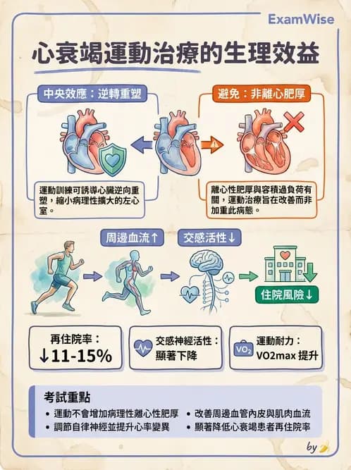 物治 - 心臟復健與運動處方 - AI 圖文解析預覽