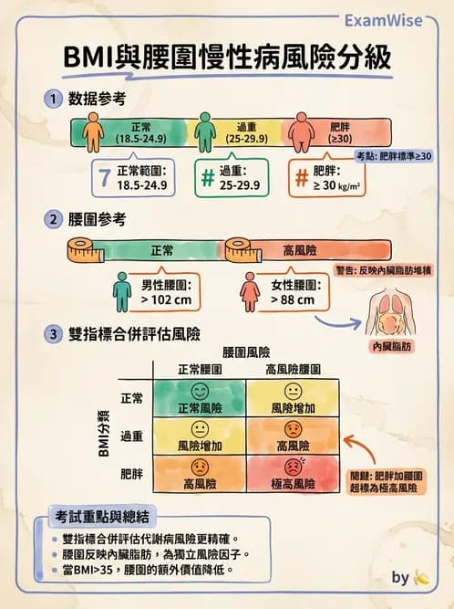 物治 - 體適能評估與運動測試 - AI 圖文解析預覽