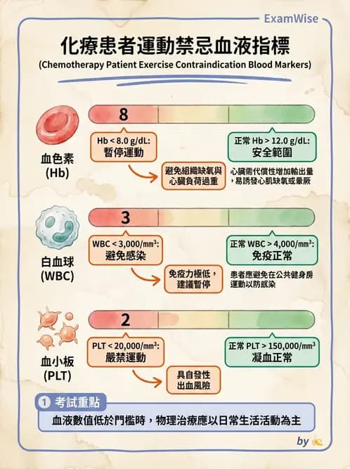 物治 - 癌症物理治療 - AI 圖文解析預覽