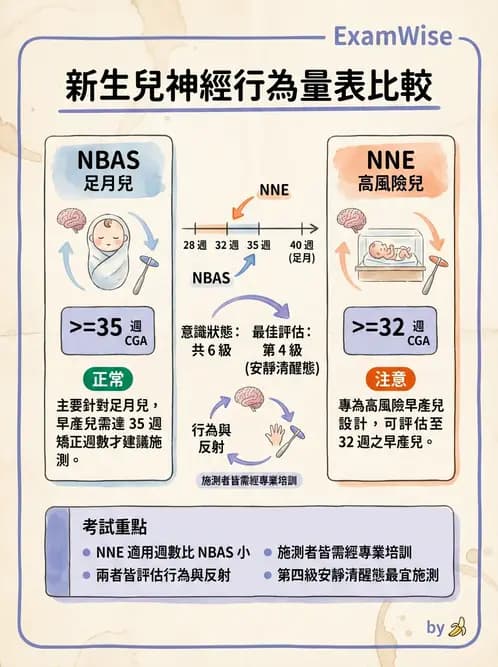 物治 - 新生兒與嬰兒發展評估 - AI 圖文解析預覽