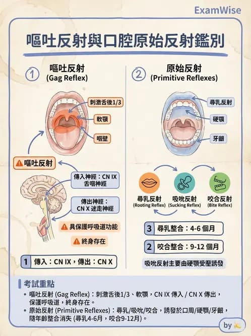 物治 - 新生兒與嬰兒發展評估 - AI 圖文解析預覽