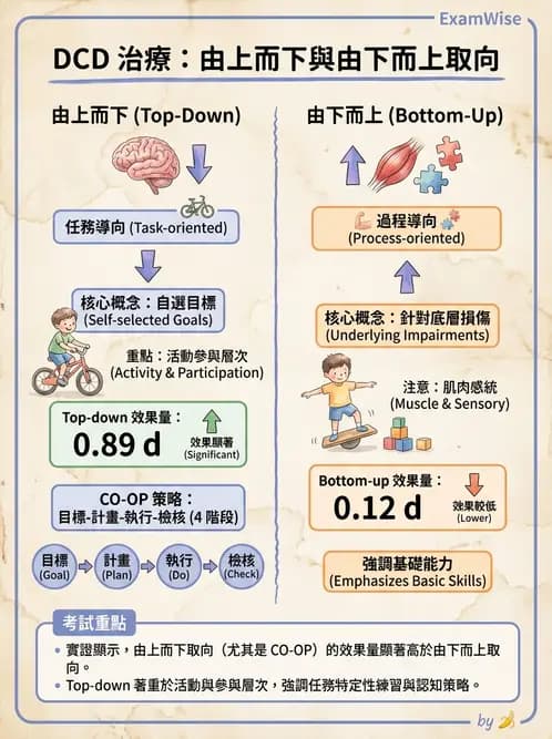 物治 - DCD、ADHD與行為介入 - AI 圖文解析預覽