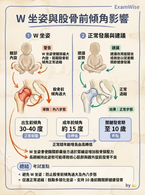 物治 - 小兒肌肉骨骼疾患物理治療 - AI 圖文解析預覽