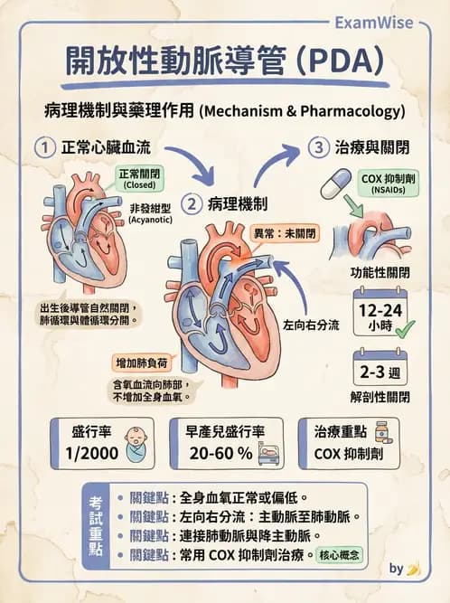 物治 - 小兒心臟、癌症與外傷物理治療 - AI 圖文解析預覽